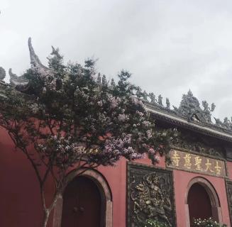 88彩：助力公益活动建设，实现经济效益与社会效益的双赢！